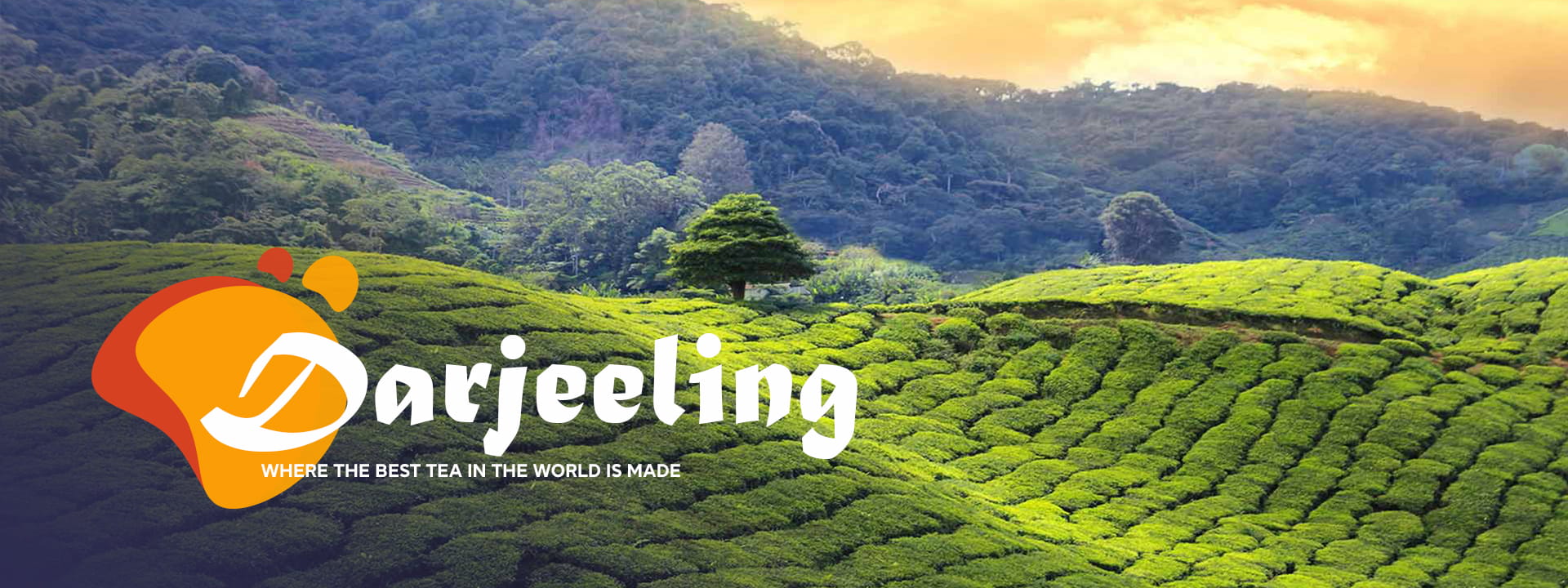 Gangtok Tours & Travels